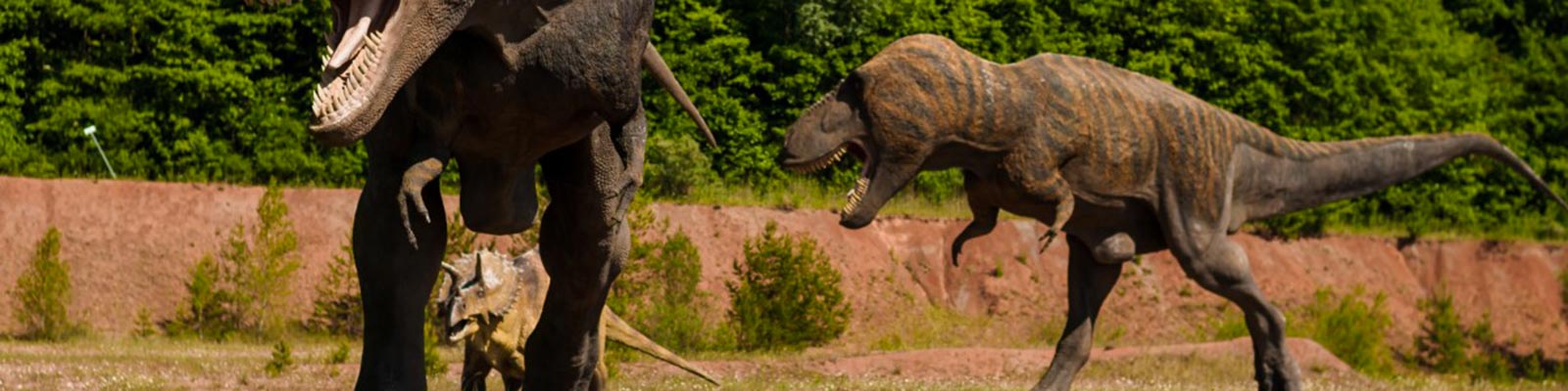 Visite du Dinopark du Cap d’Agde