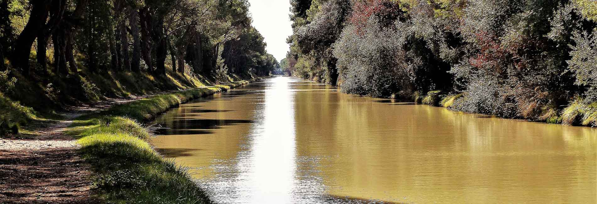 Profitez d’une balade à vélo sur le Canal du Midi