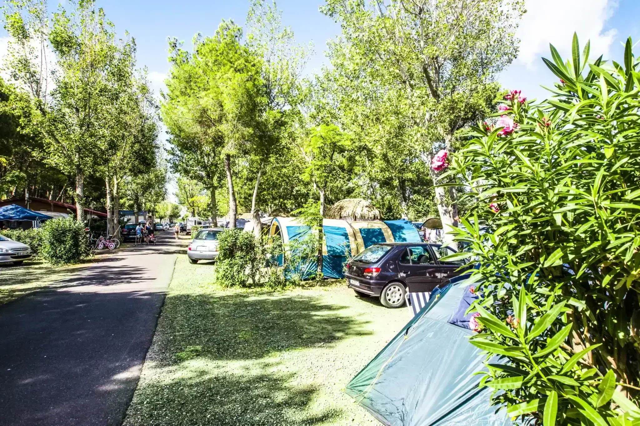 emplacement camping tente agde