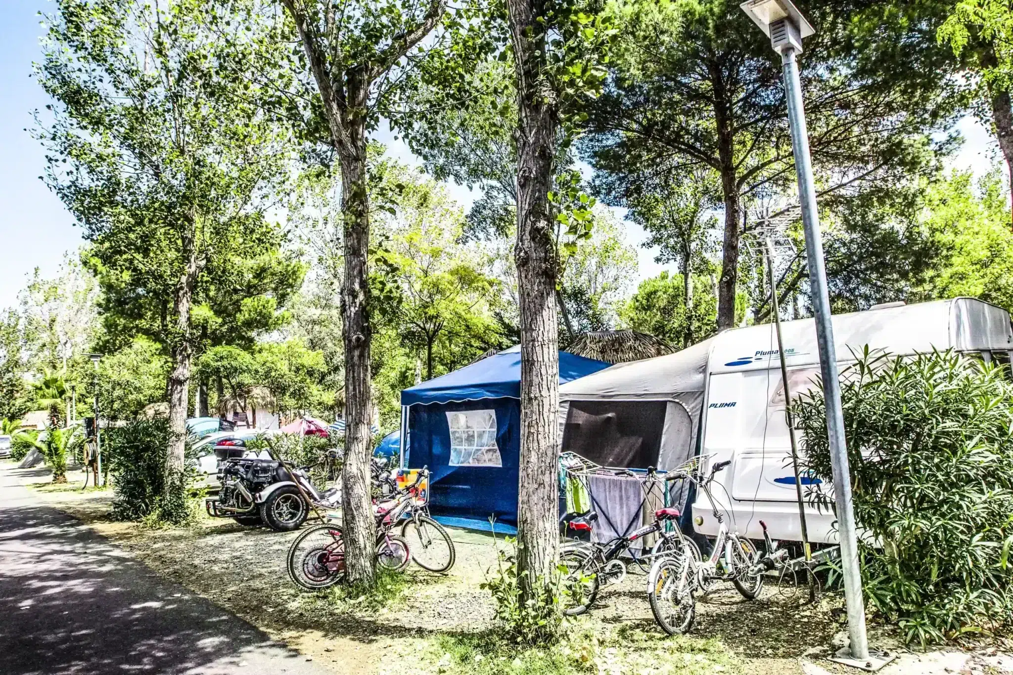 camping resort les champs blancs120