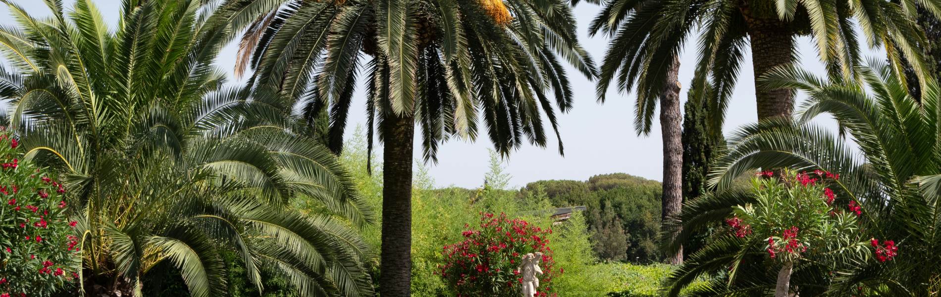 jardin antique mediterraneen