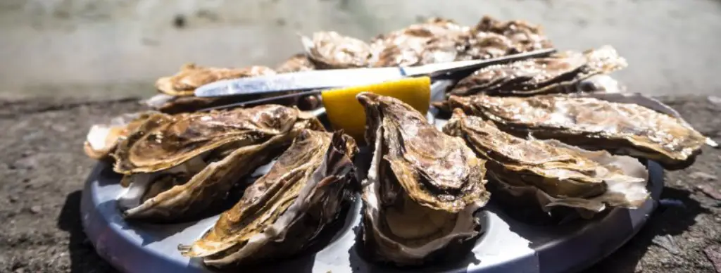 les huîtres à Mèze
